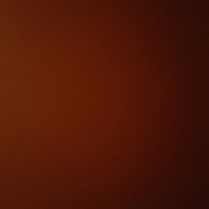 Meet your Posher, Yarelis